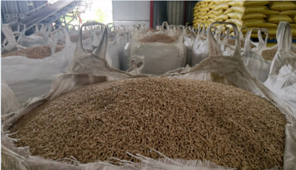 企業風采丨荊州格力特生物科技 以質興企，助力養殖業降本增效的生物飼料研發