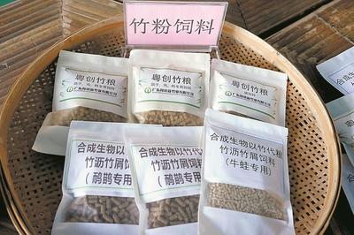 清遠(yuǎn)英德西牛鎮(zhèn) 打造“以竹代塑”“以竹代糧”綠色產(chǎn)業(yè)，推動(dòng)生物飼料研發(fā)