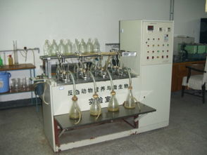 反芻動物飼料安全評價實驗室與生物飼料研發的協同創新