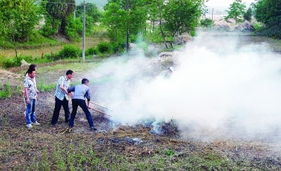 禁止焚燒秸稈，推動大氣污染治理，守護生活環境
